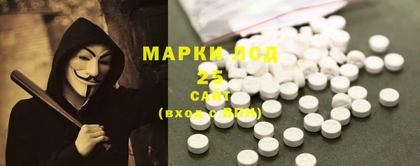 прущие грибы Арсеньев