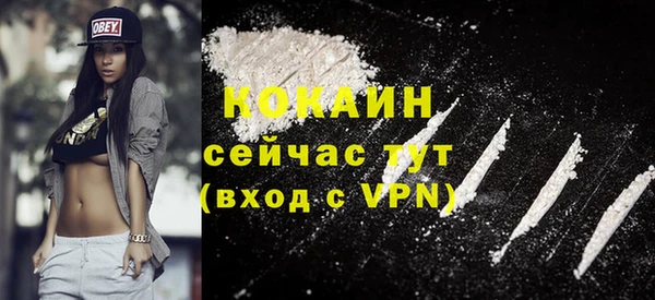 прущие грибы Арсеньев