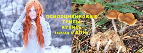 прущие грибы Арсеньев