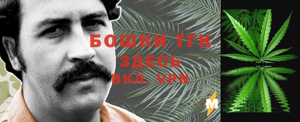 прущие грибы Арсеньев